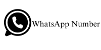 WhatsApp Number